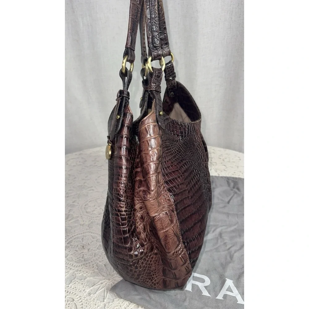 Brahmin pictures very